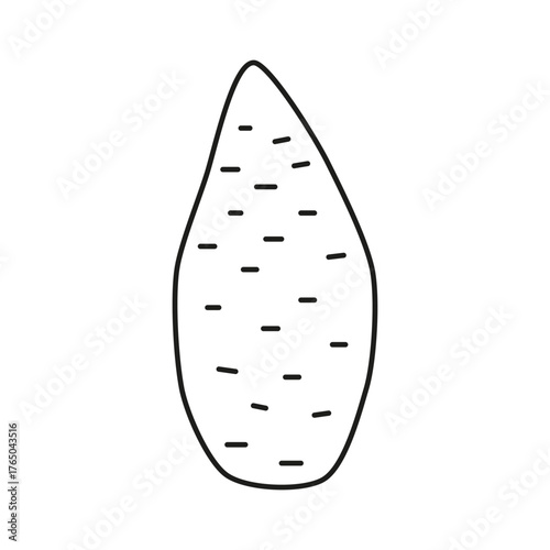 Cute hand drawn outline sweet potato batat isolated on white background. Healthy vegetarian food. Summer and autumn harvest.