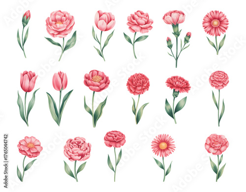 Vintage watercolor tulip and peony flower collection. Romantic spring blossom watercolor botanical set.