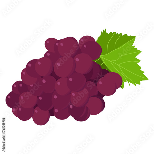 Obraz na plátně A beautiful bunch of grapes on a white background