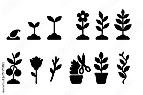 Garden Growth Icons. Solid style icons of Garden growth stages: seed, sprout, seedling, young plant, flowering plant, mature plant