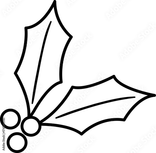 Outline of Christmas holly berry.
Transparent background.
