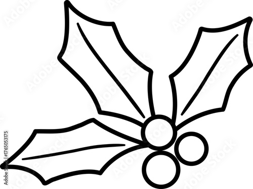 Outline of Christmas holly berry.
Transparent background.
