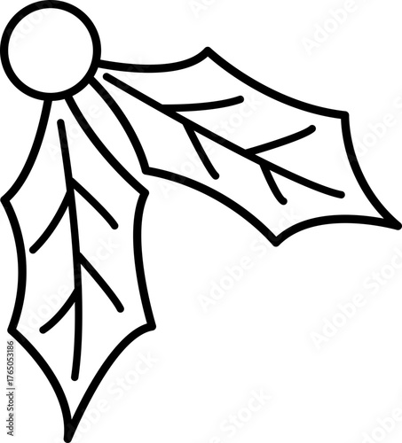 Outline of Christmas holly berry.
Transparent background.
