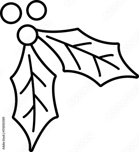 Outline of Christmas holly berry.
Transparent background.
