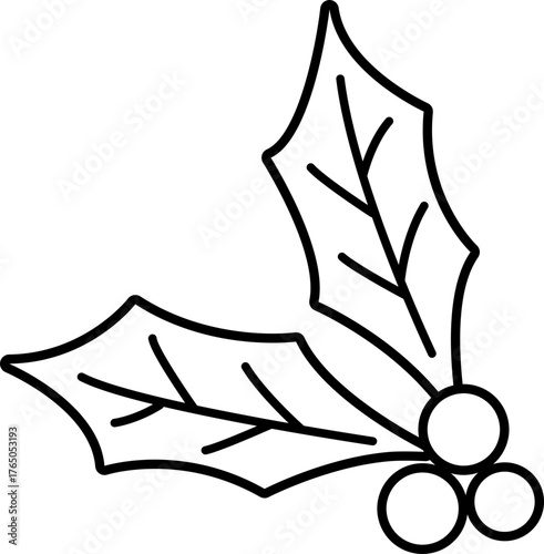 Outline of Christmas holly berry.
Transparent background.
