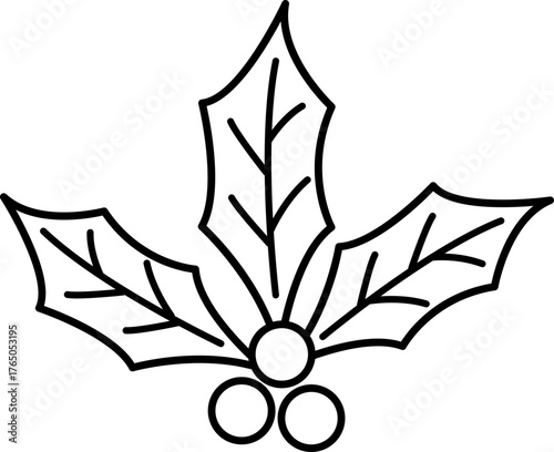 Outline of Christmas holly berry.
Transparent background.
