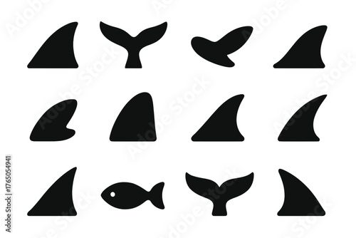 Fin Icon Variety. Solid style icons of fins: dorsal fin, tail fin, pectoral fin, pelvic fin, anal fin, large fin, small fin,