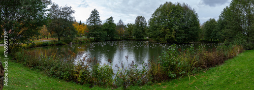 Reflection of trees in the pond in the park.