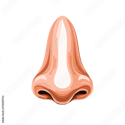 Isolated human nose illustration showing nostrils and bridge in an artistic style of face parts for medical concepts