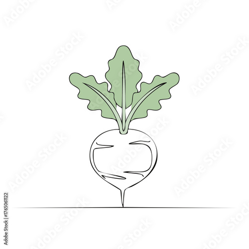 Minimalist contour drawing of kohlrabi vegetable with leaves, line art style.