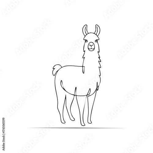 Single line drawing of a llama standing