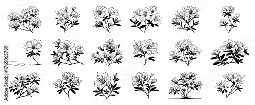 Flowering shrub silhouette variations – airy blossom sprays illustrated in graceful monochrome ink set