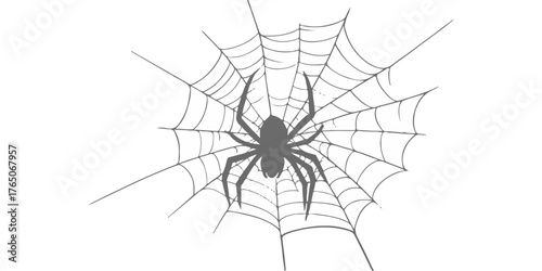 A macro photo of an arachnid spider with long legs on its web is a creepy nature illustration perfect for Halloween and horror themes, representing fear and a dangerous trap.  vector, cartoon, net