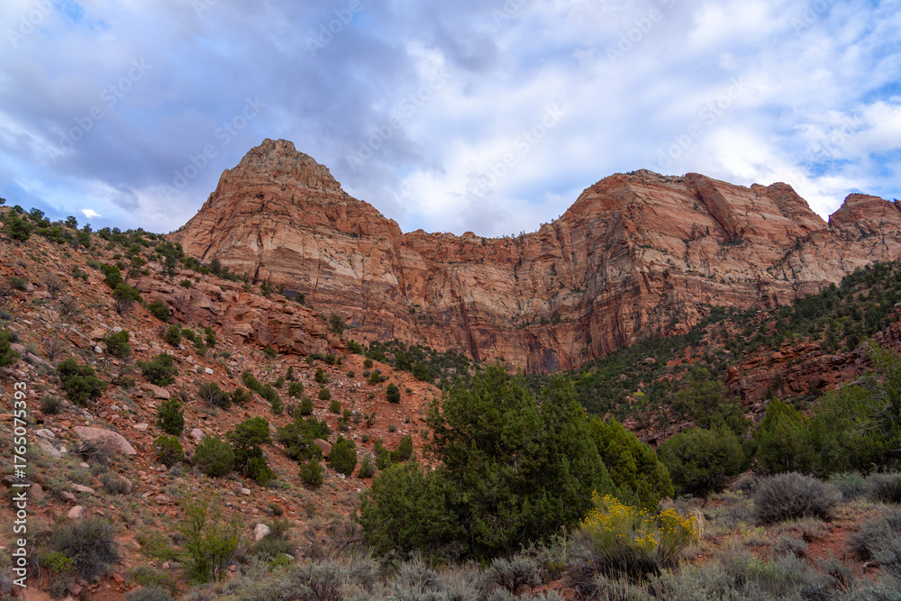 Fototapeta premium Red rock mountains under a cloudy sky with desert vegetation.