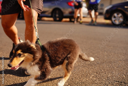 man and dog walking in street