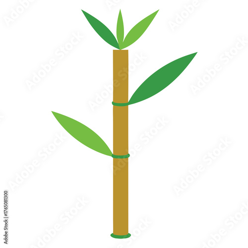 Flat Color Bamboo Stem And Leaf Cartoon Vector Illustration