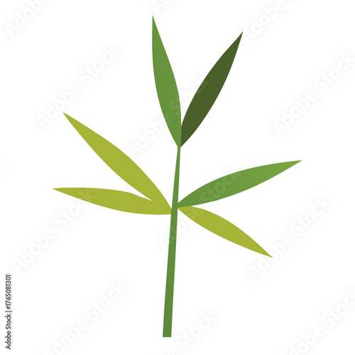 Flat Color Bamboo Ranch Leaves Vector Illustration