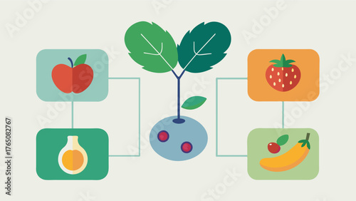 A structured meal plan tailored to support those with Alzheimers incorporating brainhealthy foods like leafy greens berries and healthy fats.. Vector illustration