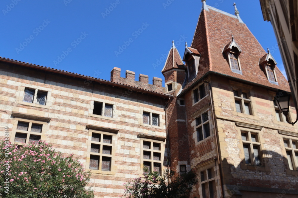 Fototapeta premium auch