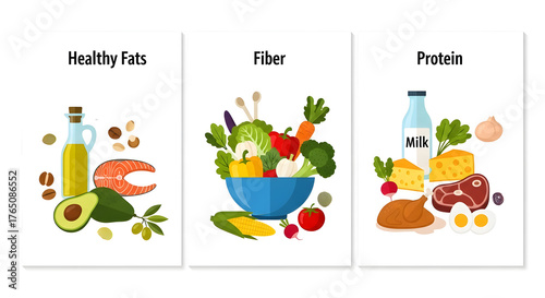Healthy fats fiber and protein food groups illustration