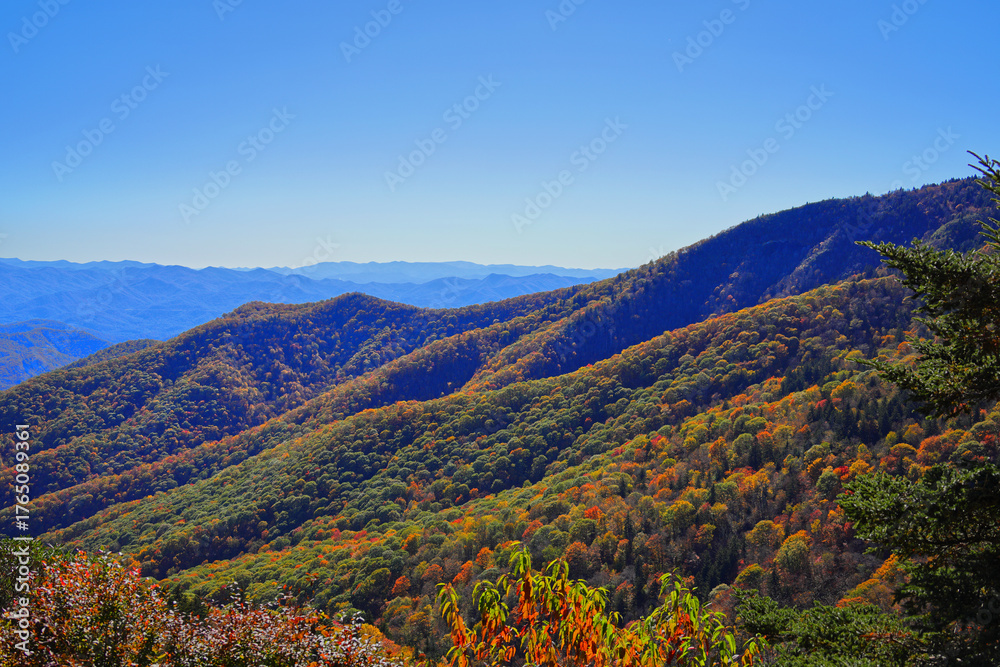 Fototapeta premium Scenic fall leaf colors overlook view of Smoky Mountains from Blue Ridge Parkway in the Autumn fall season. 