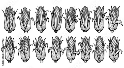 Stunning vintage line art pattern showcasing fresh corn on the cob, perfect for harvest season designs and organic food themes