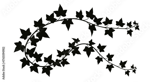 Elegant black silhouette of ivy vines gracefully curving across a clean white background, perfect for decorative accents and natural designs.
