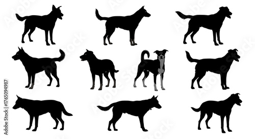 Captivating collection of nine diverse dog silhouettes showcasing various breeds and poses, perfect for graphic design projects and pet-themed content.