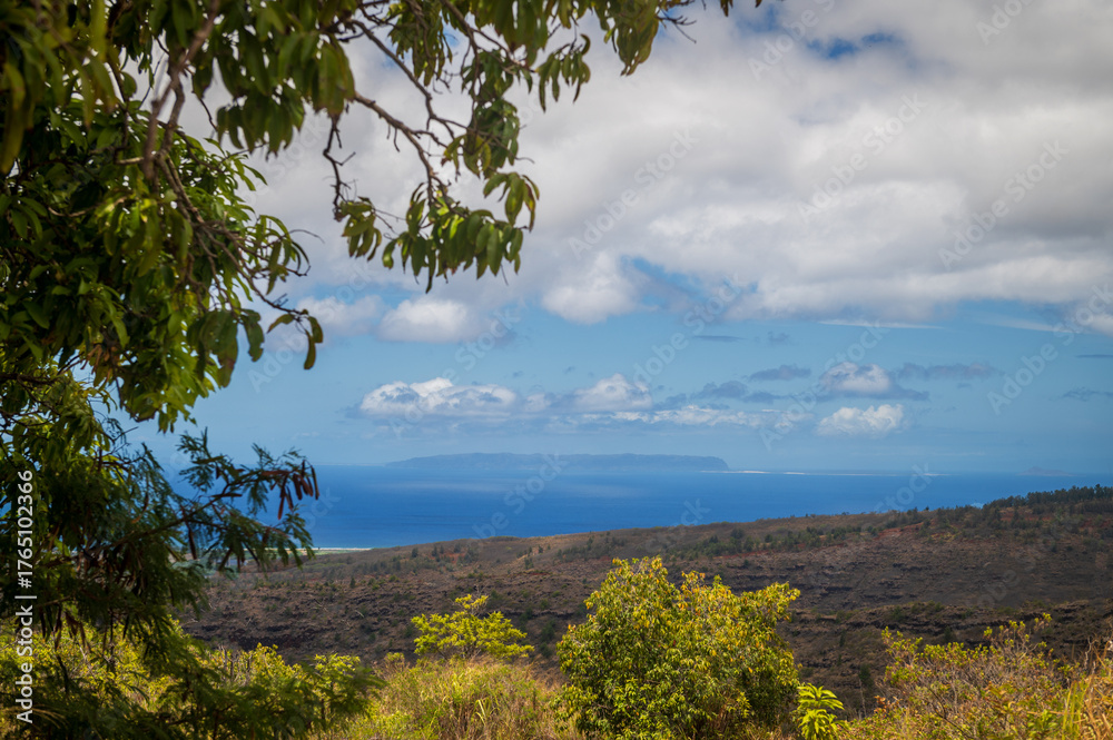 Obraz premium Niihau – Hawaii’s Forbidden Island about eighteen miles southwest of Kauai, sits Hawaii’s “Forbidden Island”, also known as Niihau. The island is private receives little rain, not as lush as Kauai.