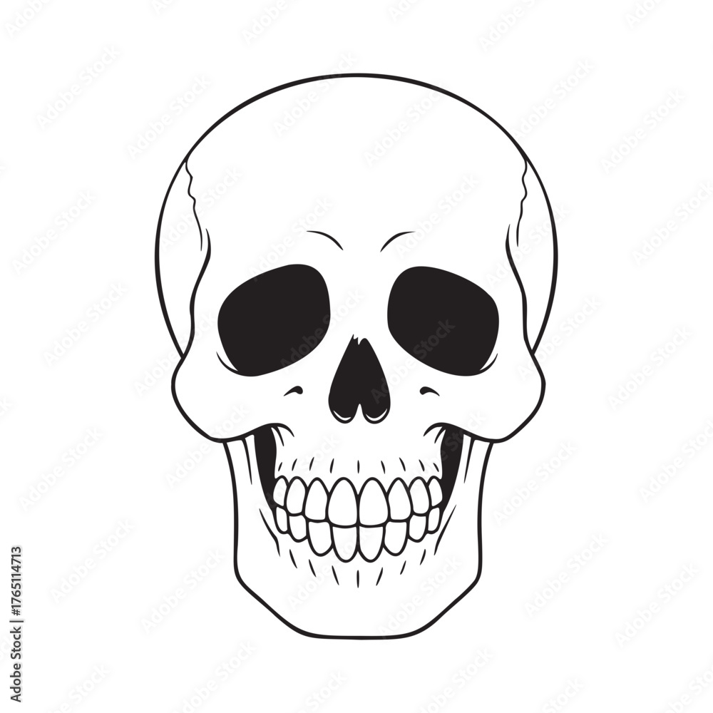 Fototapeta premium Black Skull Outline Illustration on Dark Background