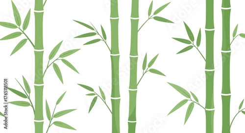bamboo background vector