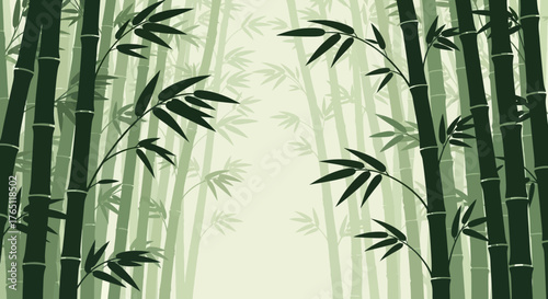 bamboo forest background