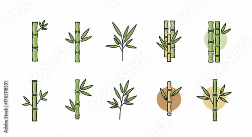 bamboo leaves isolated on white