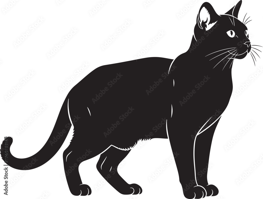 Naklejka premium Elegant cat silhouette graphic feline domestic pet outline feline lover design artistic feline portrait animal creature cat silhouette image artwork