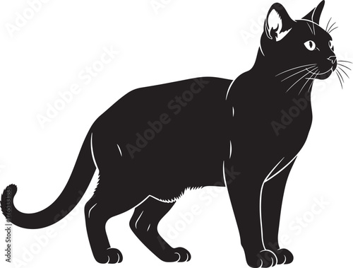 Elegant cat silhouette graphic feline domestic pet outline feline lover design artistic feline portrait animal creature cat silhouette image artwork