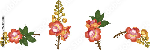 Cannonball tree flowers with buds and leaves, vibrant pink orange petals, botanical illustration, tropical exotic plant artwork, educational floral design reference