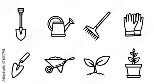 Vector art of gardening tools and plant