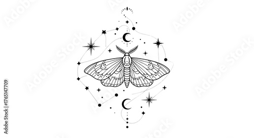 Vector art of celestial moth with stars and moon phases