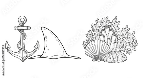 Vector art of an anchor, shark fin, and coral