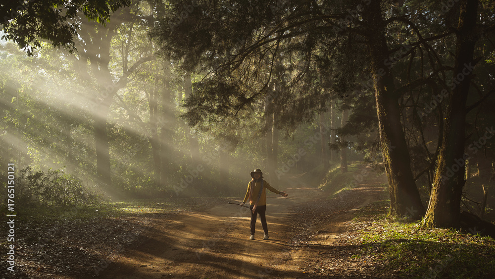 Obraz premium Asian woman traveler is happy with the scenic dirt road through a dense mountain pine forest in San Pa Kia Mt., Chiang Dao, Chiang Mai, Thailand.