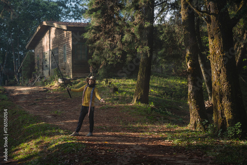 Asian woman traveler is happy with the scenic dirt road through a dense mountain pine forest in San Pa Kia Mt., Chiang Dao, Chiang Mai, Thailand.
