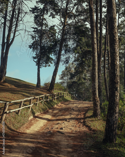 Rural dirt road through mountain forest in San Pa Kia Mt., Chiang Dao, northern Thailand. Transportation, communication and adventure travel.