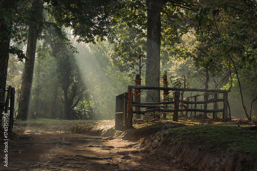 Rural dirt road through mountain forest in San Pa Kia Mt., Chiang Dao, northern Thailand. Transportation, communication and adventure travel.