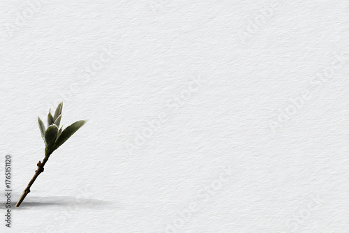 minimalist botanical illustration, simple watercolor picture of a young plant, using soft colors and clean background serene, balanced, organic, and elegant