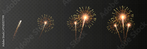 Vector Brightly Colorful Fireworks on the background of the night sky.