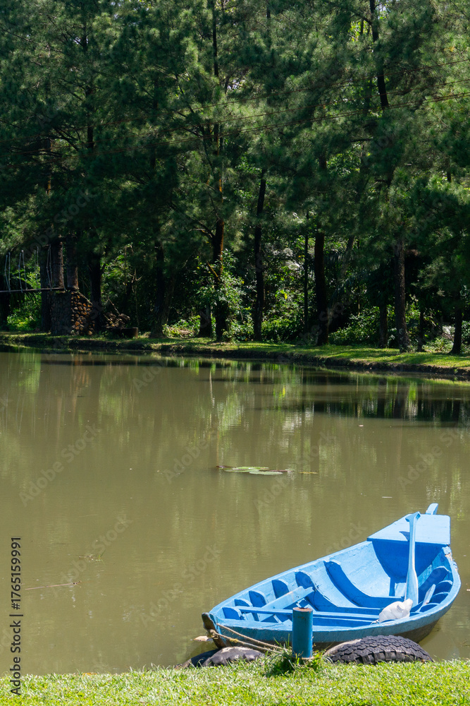 Obraz premium boat on the lake
