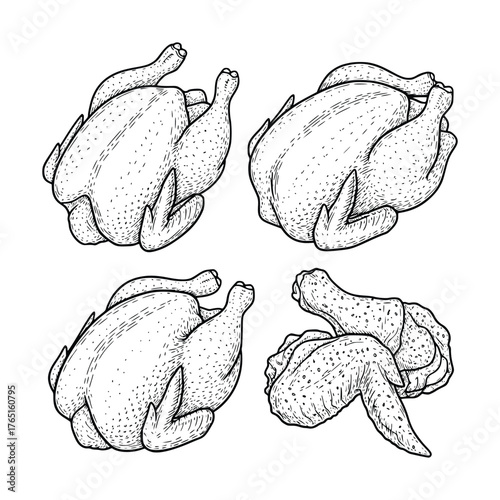Four Chicken Illustrations Whole and Cut Ready for Cooking.