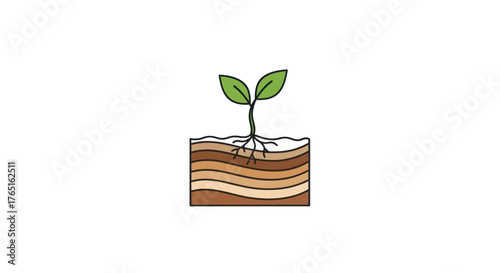Sprout emerging from soil layers, showcasing root system and new growth.