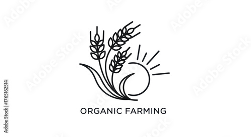 Organic Farming Wheat Sun Logo Icon.