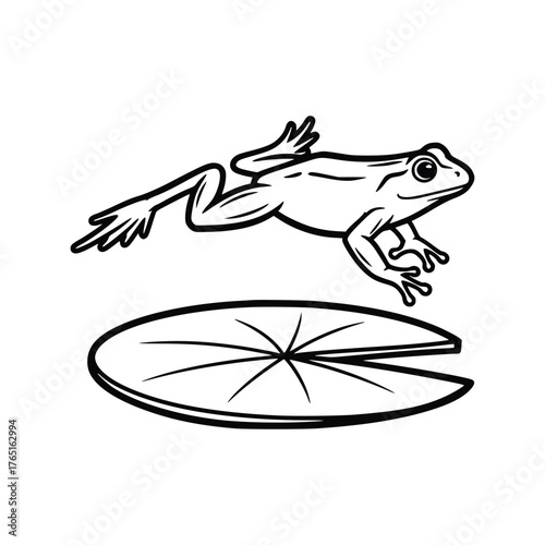 vector illustration of a frog